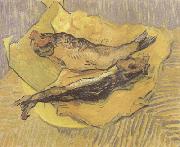 Vincent Van Gogh Crab on Its Back (nn04) Spain oil painting artist